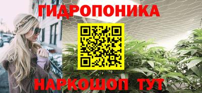 Альфа ПВП Можга
