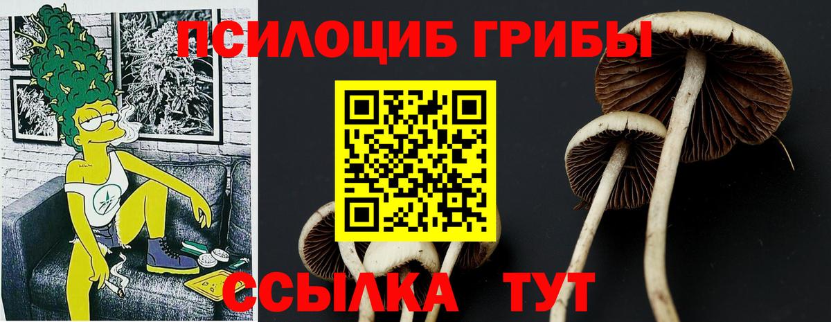 Галлюциногенные грибы Psilocybine cubensis  Галлюциногенные грибы MAGIC MUSHROOMS  где можно купить   Тольятти  Вход с VPN 